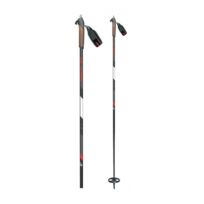 Alpina XT Ski Poles 48″
